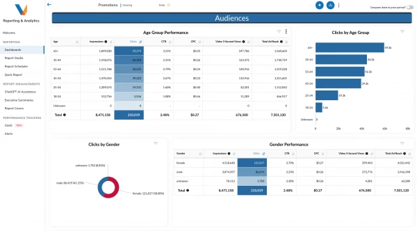 Image of a demographic dashboardAudiences dashboard