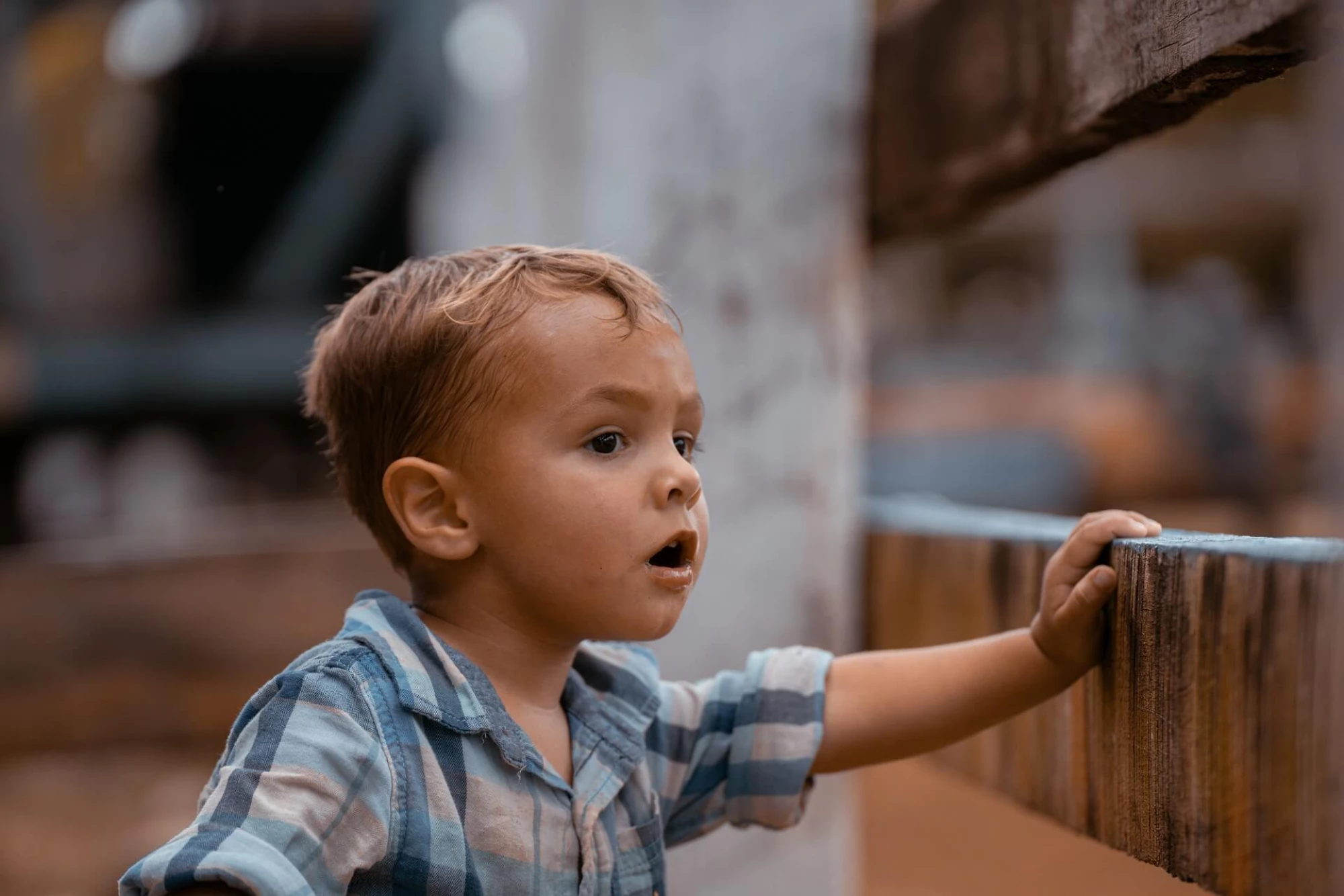 little boy looking though a fence