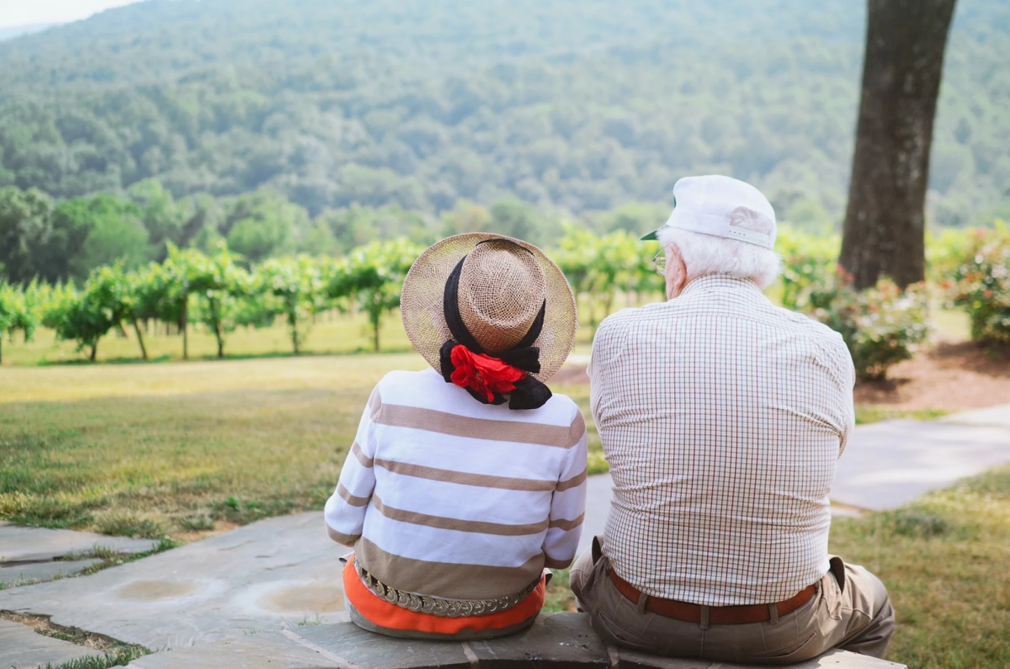The back of an older couple looking out over the scenery