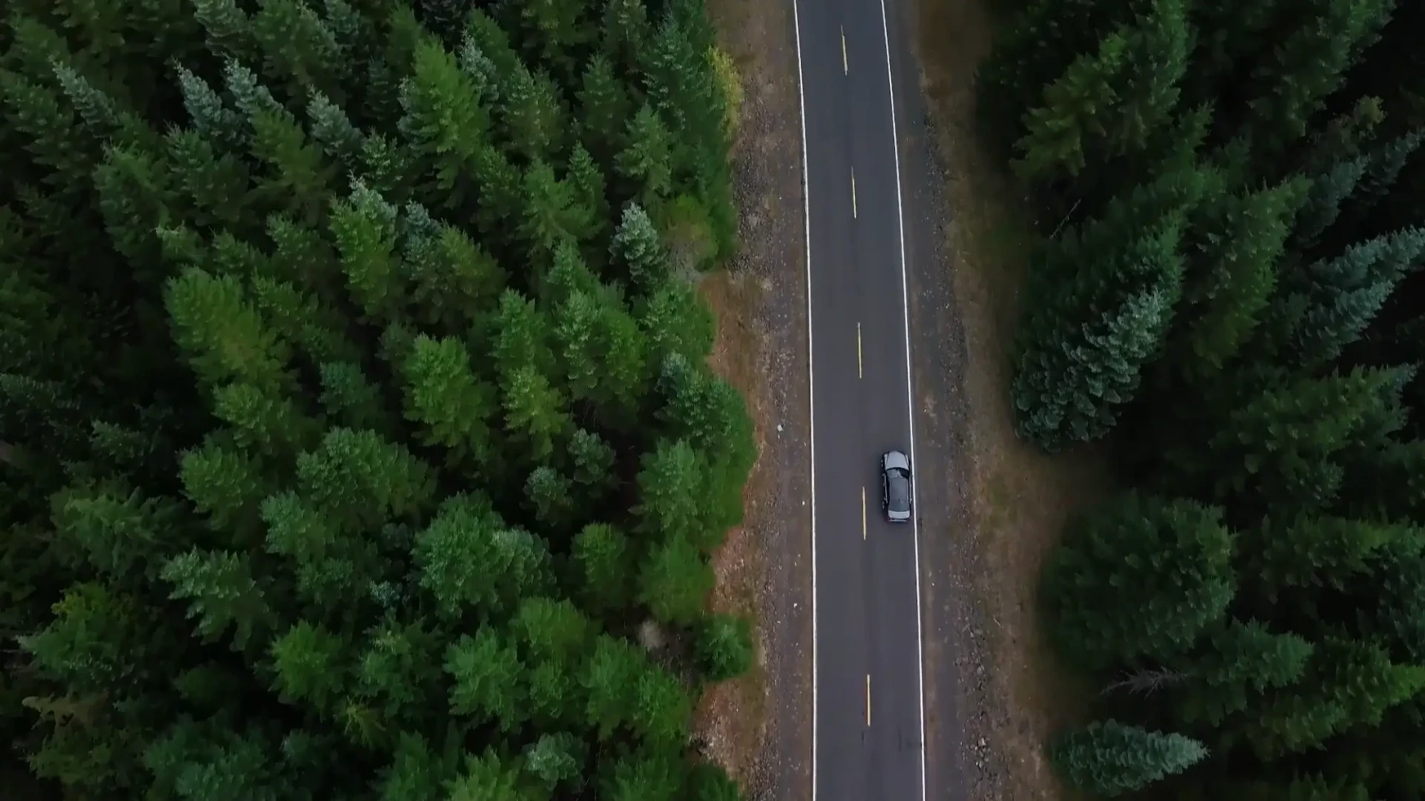Vehicle driving on highway through Pacific Northwest forest