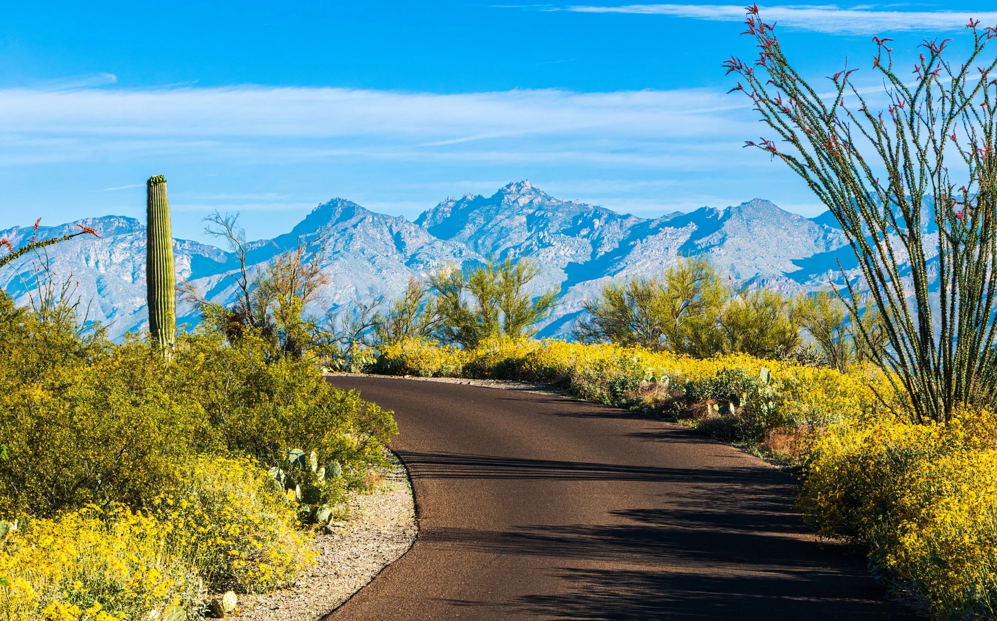 Strategic Media for Arizona Businesses