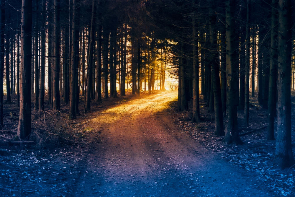 Clicks Aren't Everything in Path to Conversion Media Buying