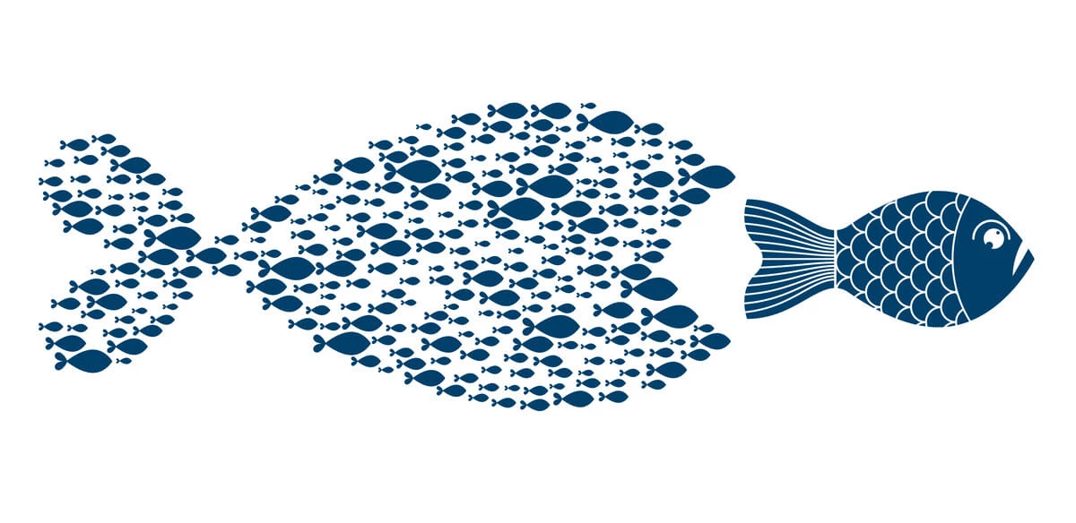 Big fish made of lots of fish eating a smaller fish